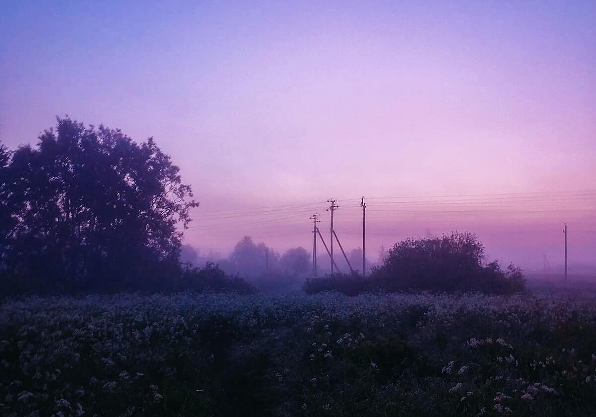 乐鱼app下载：开启属于你的智慧娱乐新世界